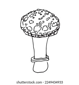 Mushroom sketch outline fly agaric fungus retro fashion line art illustration
