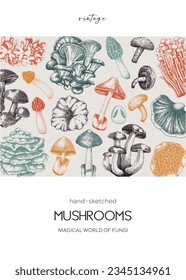 Mushroom sketches. Healthy food hand drawn illustration. Autumn forest trendy background for recipe, menu, card, package, packaging, print. Vintage mushrooms template. Botanical vector design