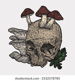 Mushroom skull hand drawn Colourful illustration artwork