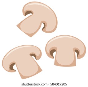 Muschelscheiben auf weißem Hintergrund, Vektorgrafik
