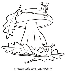 mushroom and slug, coloring book, vector icon
