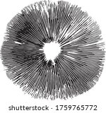 Mushroom Spore Print Vector - Psilocybe Cubensis 1