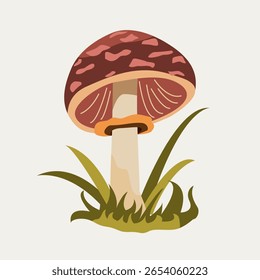Mushroom with spotted red top and cream stalk standing in grass. For woodland graphics and nature themed visuals.