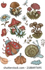 Mushroom stickers insects snail forest hand drawn set of separate elements cute cartoon coloring doodle
