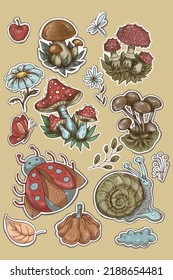 Mushroom stickers insects snail forest hand drawn set of separate elements cute cartoon coloring doodle
