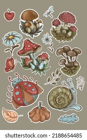 Mushroom stickers insects snail forest hand drawn set of separate elements cute cartoon coloring doodle