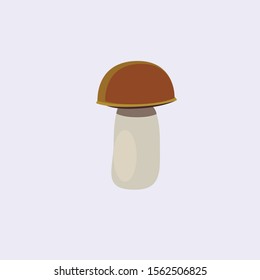 mushroom , stock vector illustration
, champignons