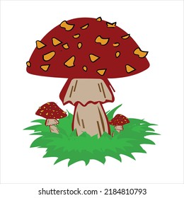 Mushroom T Shirt Design Image