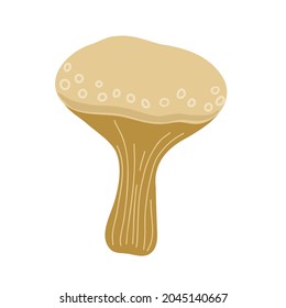 Mushroom, toadchese seasonal Halloween vector illustration of inedible fairymushrooms autumn holidays simple minimalist hand drawn doodle style drawing