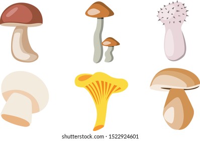 Mushroom and toadstool collection - vector color illustration