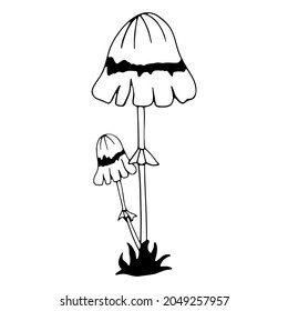 mushroom toadstool doodle vector illustration mushroom icon