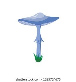 Pilztoadstool auf weißem Hintergrund, Vektorgrafik
