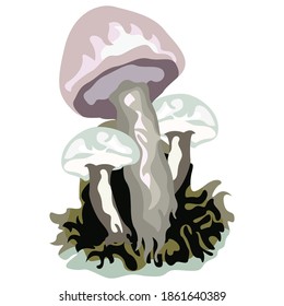 A mushroom or toadstool is the fleshy, spore-bearing fruiting body of a fungus, typically produced above ground, on soil, or on its food source. The standard for the name "mushroom" is the cultivated