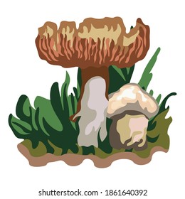 A mushroom or toadstool is the fleshy, spore-bearing fruiting body of a fungus, typically produced above ground, on soil, or on its food source. The standard for the name "mushroom" is the cultivated
