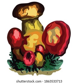 A mushroom or toadstool is the fleshy, spore-bearing fruiting body of a fungus, typically produced above ground, on soil, or on its food source.