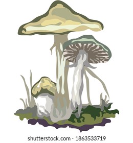 A mushroom or toadstool is the fleshy, spore-bearing fruiting body of a fungus, typically produced above ground, on soil, or on its food source.