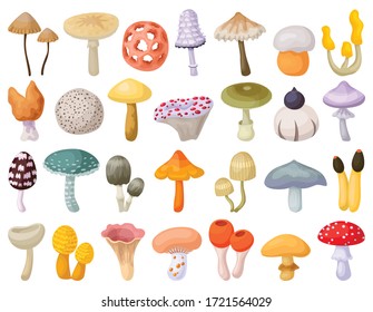 Mushroom toadstool isolated cartoon set icon. Vector illustration fungus on white background.Cartoon vector set icon mushroom toadstool .