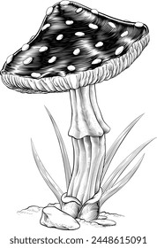 Dibujo de ilustración original de seta o taburete en un estilo de grabado de madera vintage grabado