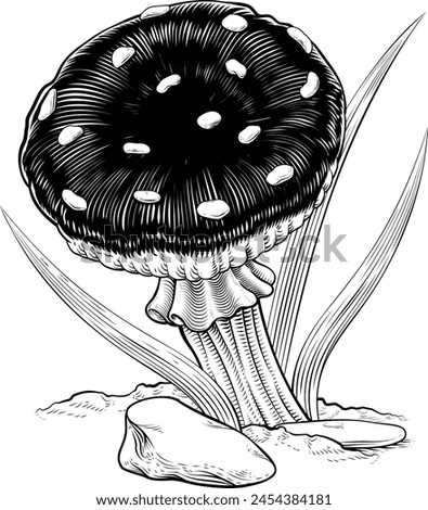 Mushroom or toadstool original illustration drawing in a vintage engraved woodcut etching style