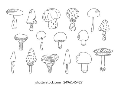 Mushroom, toadstool set seasonal Halloween vector illustration of inedible fairy, magic fantasy mushroom clipart autumn holidays simple minimalist hand drawn doodle style drawing, witchcraft symbol