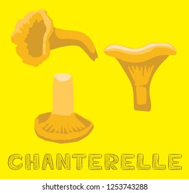 Mushroom Type Chanterelle Vector Illustration