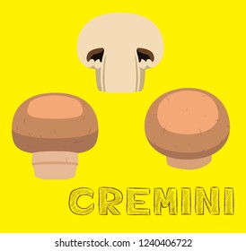 Mushroom Type Cremini Vector Illustration