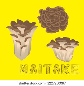 Mushroom Type Maitake Vector Illustration