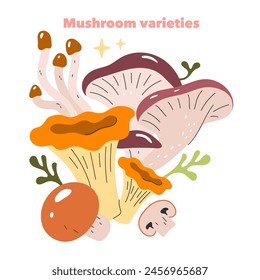 Mushroom Varieties concept. Collection of diverse fungi with enchanting shapes and colors. Edible and medicinal mushroom illustration. Vector illustration.