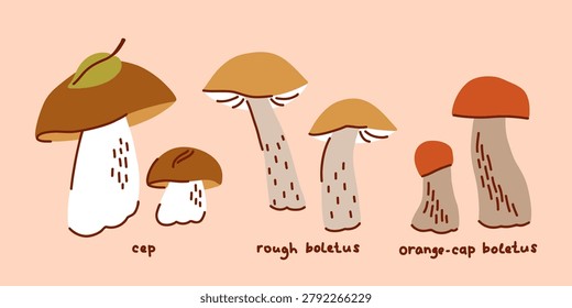Mushroom Varieties Illustration Set, foraging in the forest, porcini mushroom, aspen mushroom, birch boletus