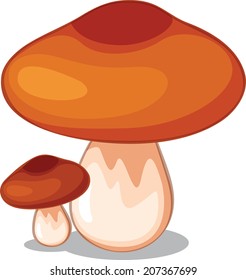 mushroom vector