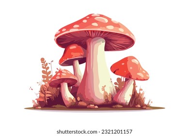 mushroom vector and animation collection