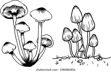 mushroom vector artwork black and white
