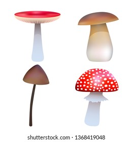 mushroom, vector autumn