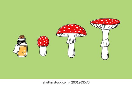 Mushroom vector cartoon illustration. Amanita muscaria fly agaric set. Medicinal poisonous plant, magic toxic mushroom with elixir bottle isolated on green background.