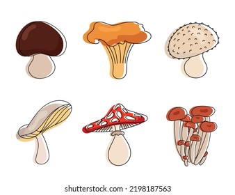 Mushroom vector collection design, mushroom vector set, mushroom collection design. Doodle set - mushrooms.