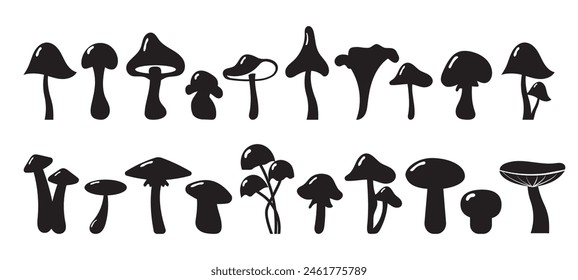 Mushroom vector collection. Different mushrooms isolated on white.