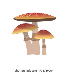 mushroom vector design