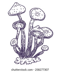 Mushroom vector drawing isolated on white background