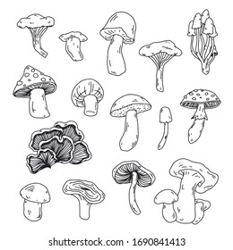 Mushroom vector fall clip art set. Autumn  mood isolated line art icon collection, print, banner, poster, greeting card design element