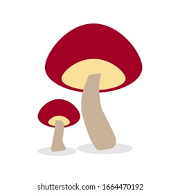 Vektorillustration in Pilz, flache Design-Illustration.