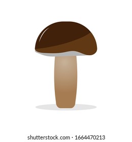 Mushroom Vector flat design illustration.