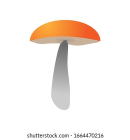 Mushroom Vector flat design illustration.