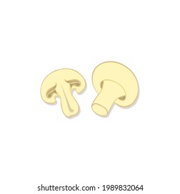 Mushroom vector flat design illustration, Cartoon style champion mushroom hand drawn flat vector icon isolated on white. Fresh button mushroom vegetable symbol in flat style. Agaricus bisporus vector