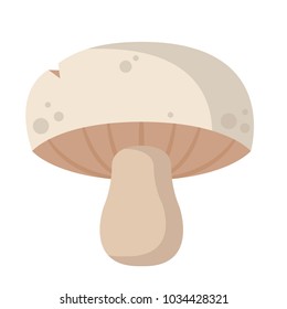 mushroom vector. free space for text. wallpaper. background.