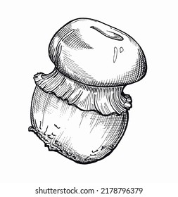 mushroom vector graphic image, black and white line art for print design, sticker, coloring