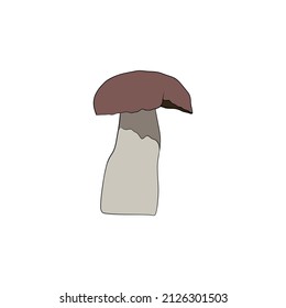 mushroom vector hand drawing illustration isolated on white background, mushroom flat vector illustration 