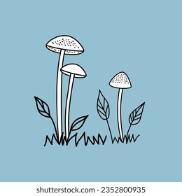 Mushroom Vector hand drawn illustration, graphic drawing with lines