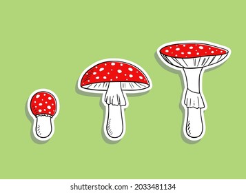 Pilzvektoraufkleber, handgezeichnet. Amanita muscaria Cartoon Illustration. Fliege agarisches Set. Medizinische Giftpflanze, magischer toxischer Pilz einzeln auf grünem Hintergrund.