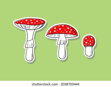 Mushroom vector hand drawn sticker. Amanita muscaria cartoon illustration. Fly agaric set. Medicinal poisonous plant, magic toxic mushroom isolated on green background.