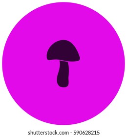 Mushroom vector  icon